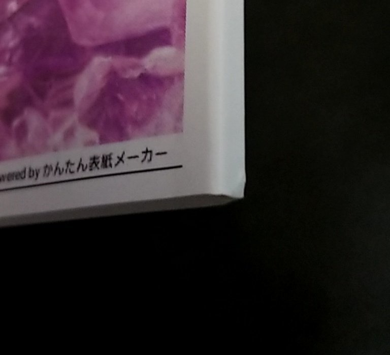 【状態B】Mon bijou