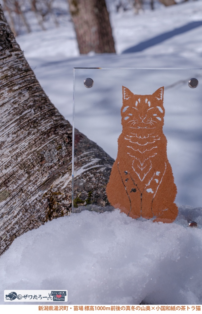 お山の森の茶トラ猫🐱湯沢町【新潟県×もふもふ毛🐸✂シリーズ】_フルグラフィックTシャツ