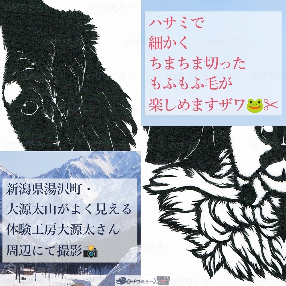 バーニーズマウンテンドッグ🐶×3月の大源太山🏔湯沢町【新潟県×もふもふ毛🐸✂シリーズ】_フルグラフィックTシャツ