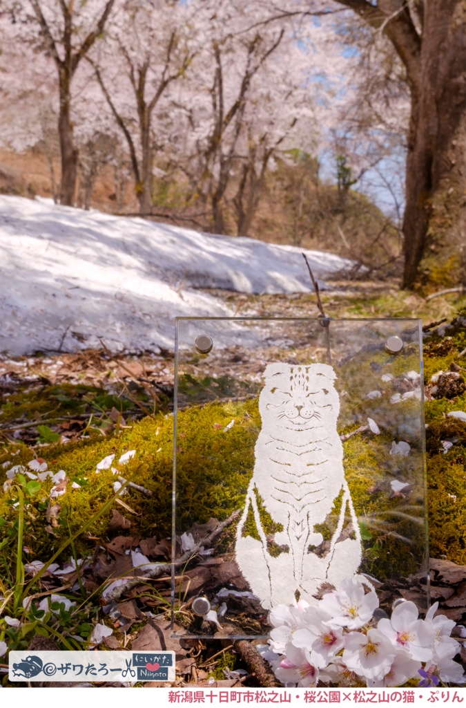 ã·ããð±ÃæŸä¹å±±ã®æ¡å
¬åðžåæ¥çºåžãæ°æœçÃããµããµæ¯ðžâã·ãªãŒãºã