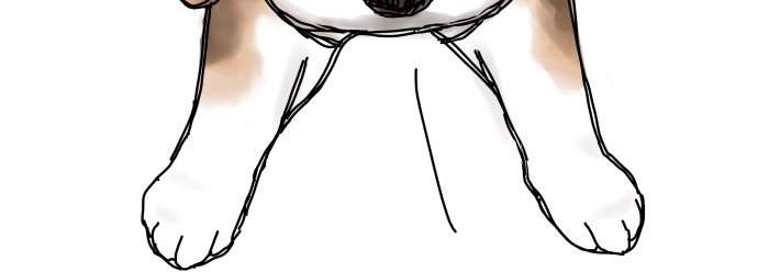 ビーグル犬エコバッグ #Beagle Eco bag