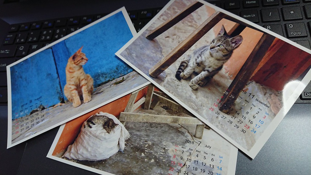 南米ねこ卓上カレンダー (2018年4月～2019年4月)