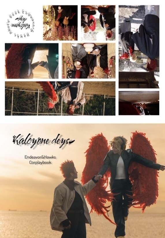 halcyone days《両雄日常写真集》