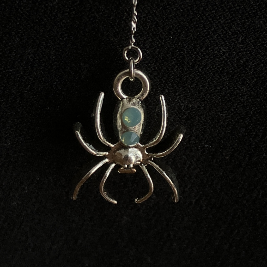 蜘蛛の家族のアクセサリー