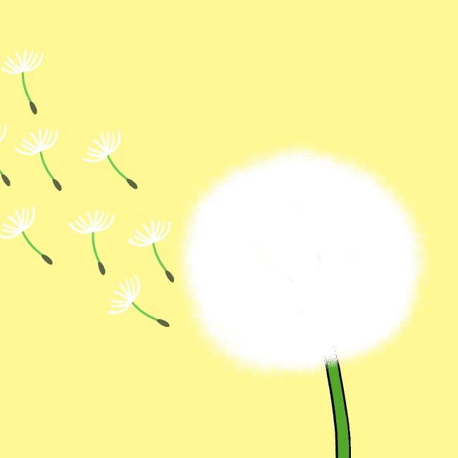 タンポポ綿毛GIFアニメ