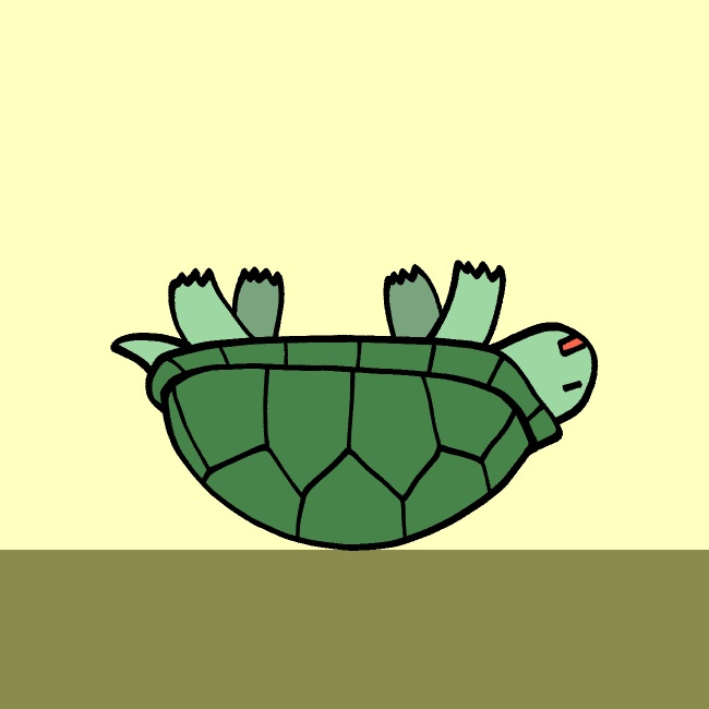 ジタバタ逆さ亀GIFアニメ