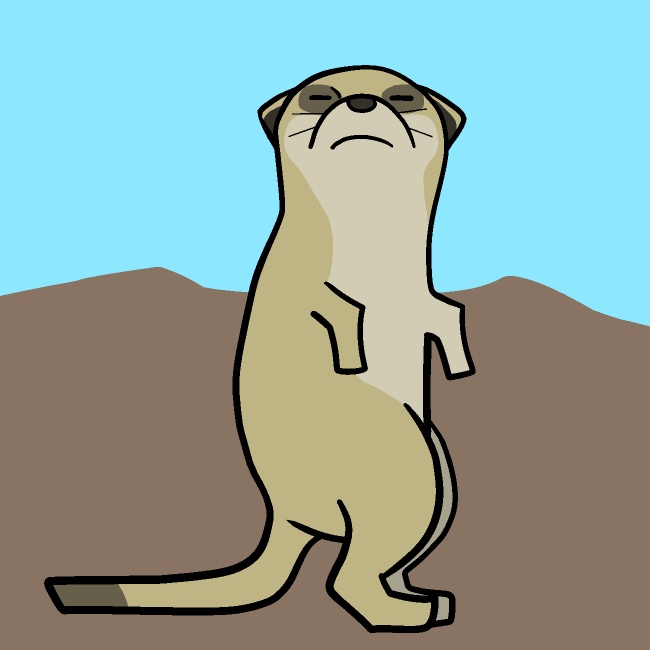 気付いて振り向くミーアキャットGIFアニメ