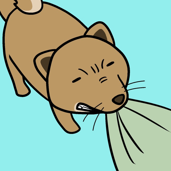 タオル離さない犬GIFアニメ