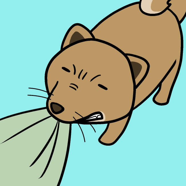 タオル離さない犬GIFアニメ