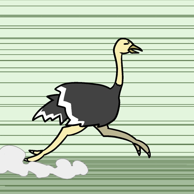 猛ダッシュダチョウGIFアニメ