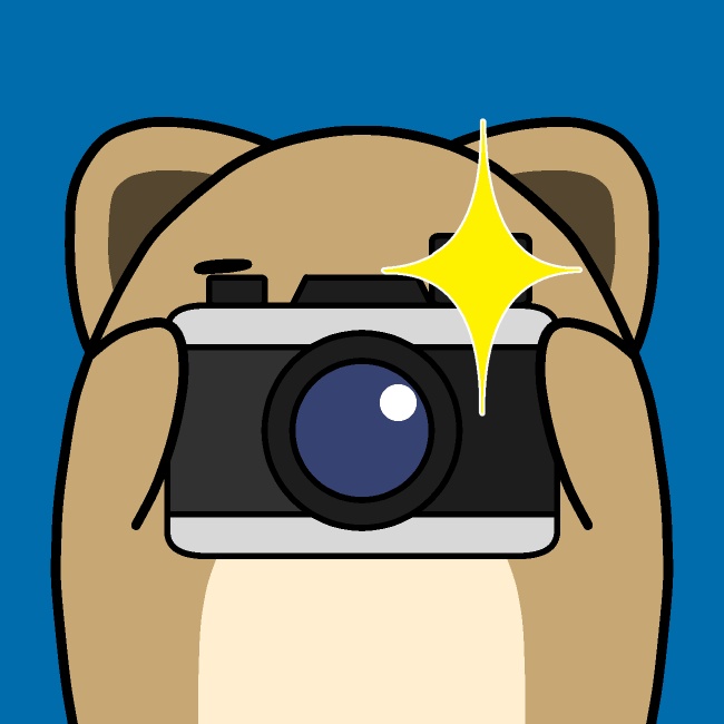 カメラでカシャ犬GIFアニメ