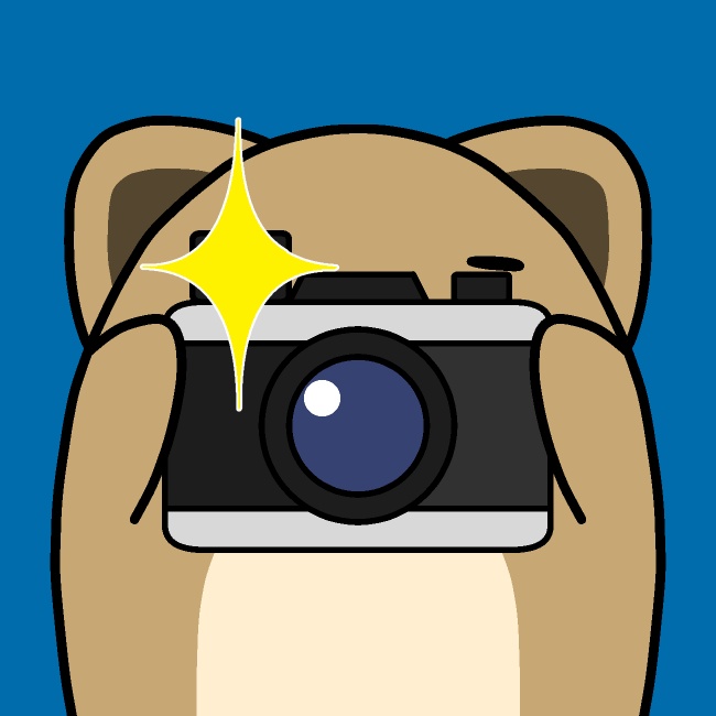 カメラでカシャ犬GIFアニメ