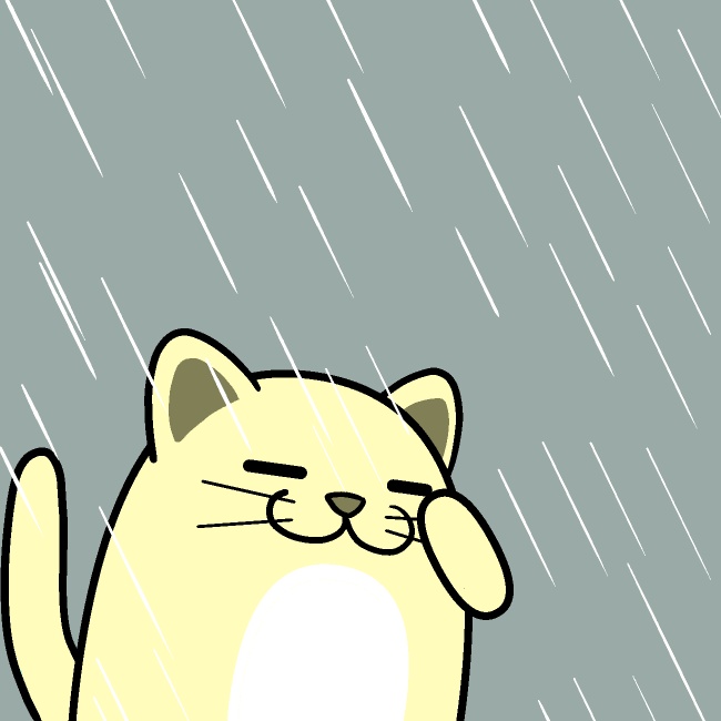猫が顔を洗うと雨が降るGIFアニメ
