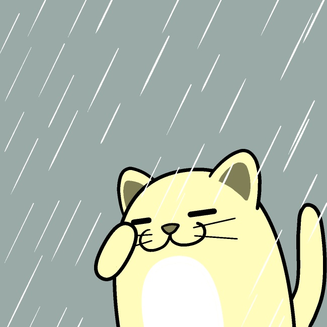 猫が顔を洗うと雨が降るGIFアニメ