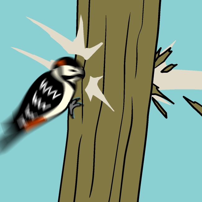 1発で決めるキツツキGIFアニメ