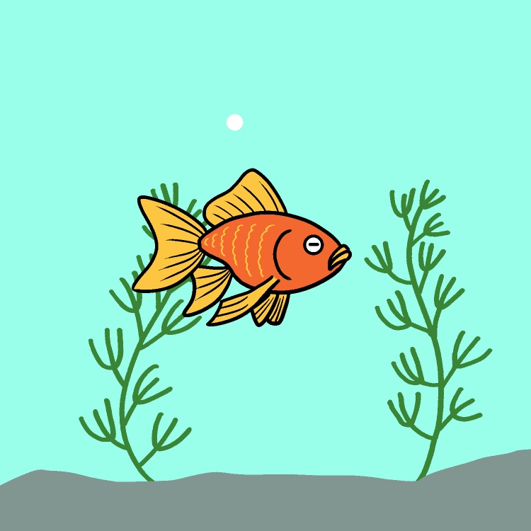 水槽の金魚GIFアニメ