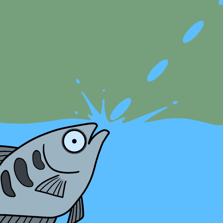 テッポウウオ連射GIFアニメ