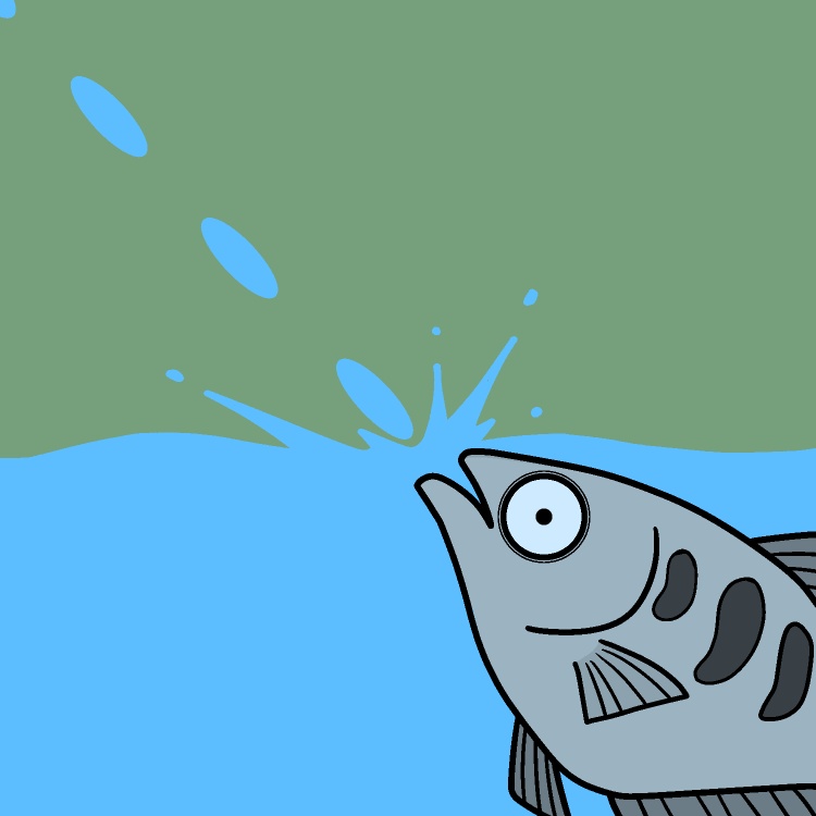 テッポウウオ連射GIFアニメ