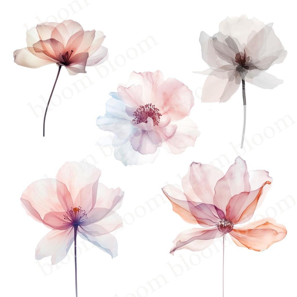 やさしい淡色系*アルコールインクアート風の花のクリップアート30点|背景透過PNG形式