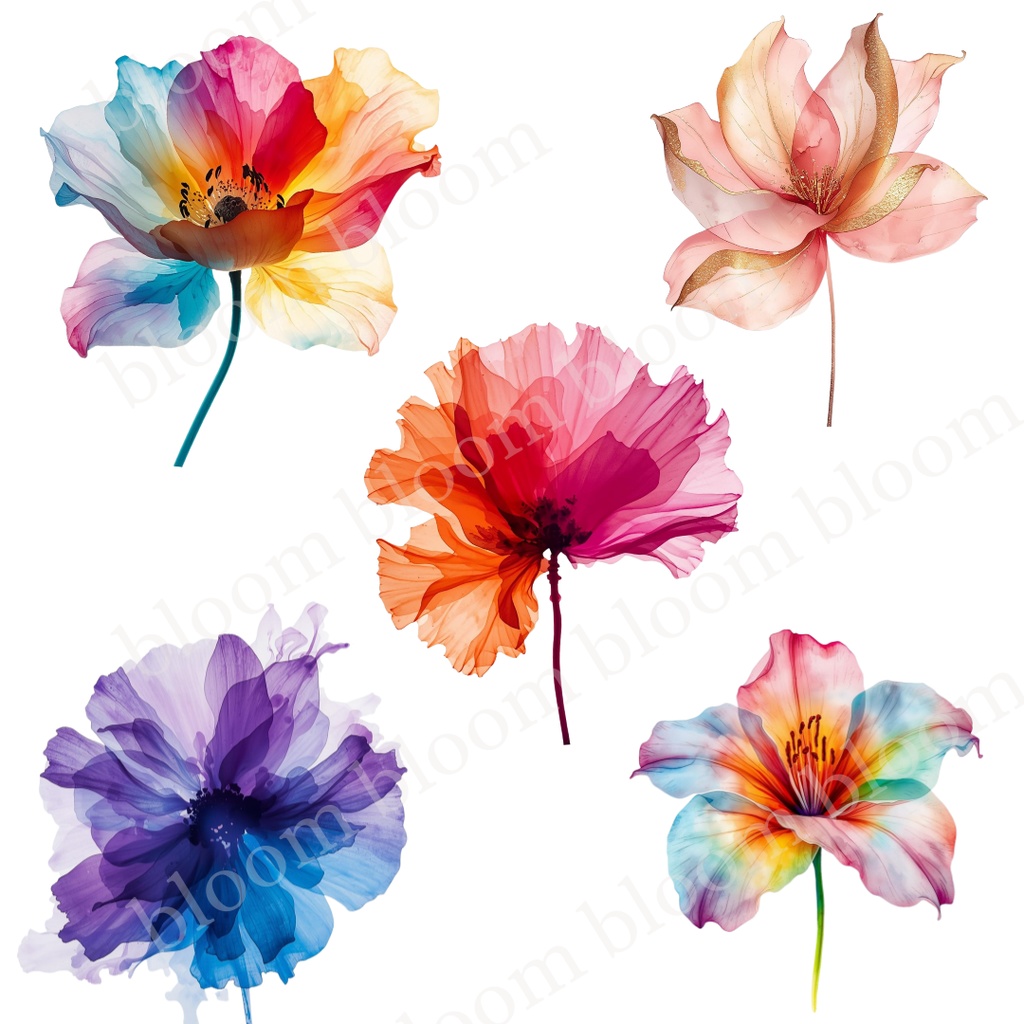 華やか・女性向け*アルコールインクアート風 フラワークリップアート30点|背景透過PNG形式