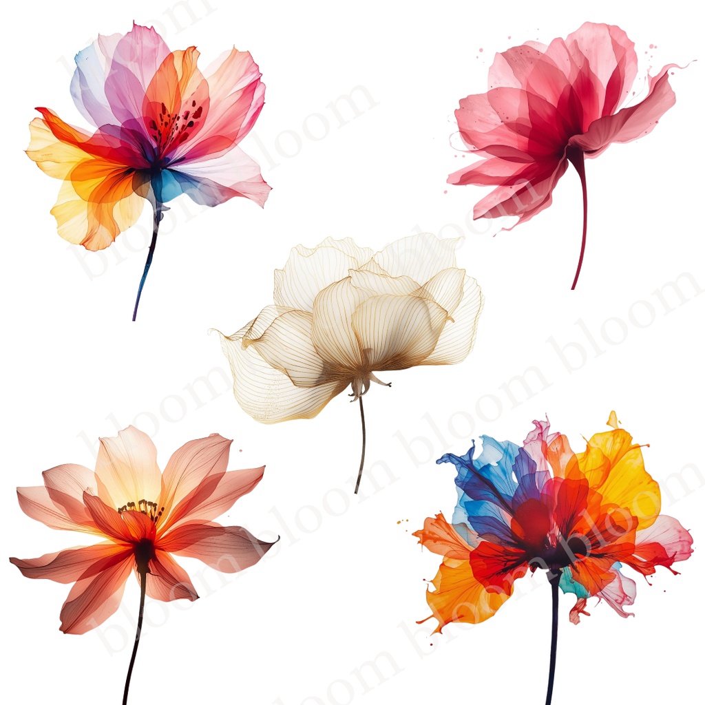 華やか・女性向け*アルコールインクアート風 フラワークリップアート30点|背景透過PNG形式