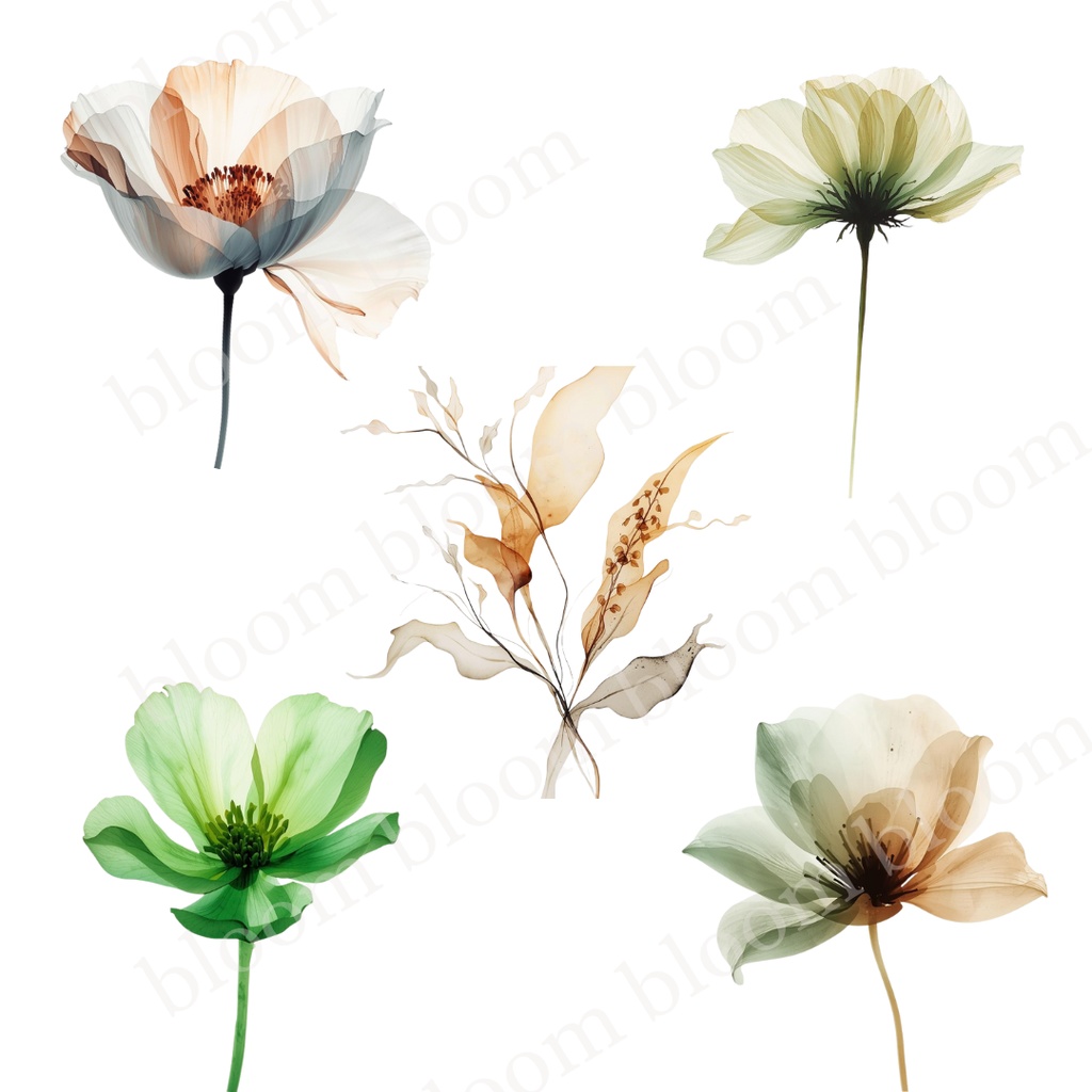 ナチュラル・ボタニカル*アルコールインクアート風の花のクリップアート30点|背景透過PNG形式