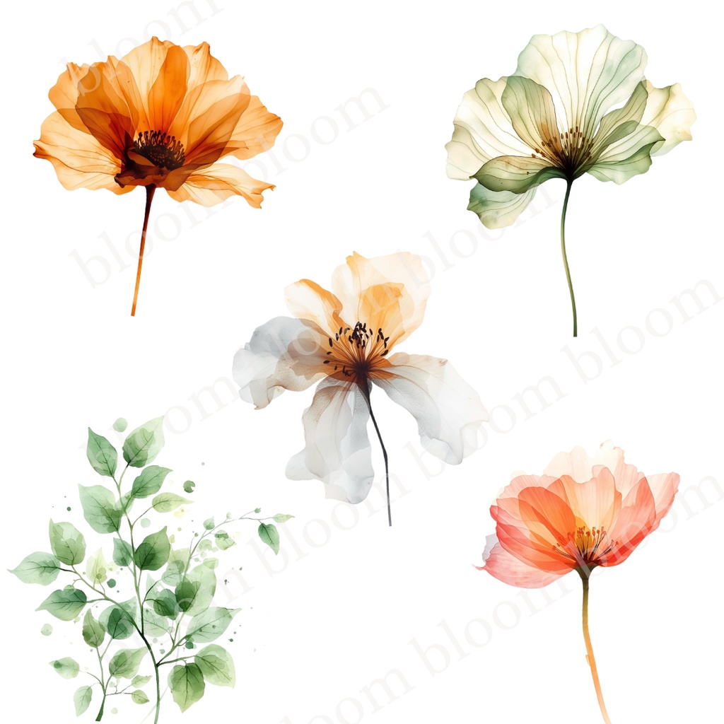ナチュラル・ボタニカル*アルコールインクアート風の花のクリップアート30点|背景透過PNG形式