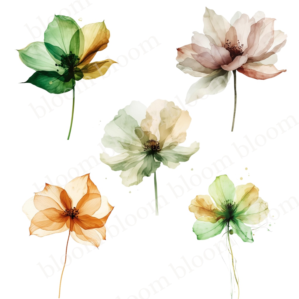 ナチュラル・ボタニカル*アルコールインクアート風の花のクリップアート30点|背景透過PNG形式