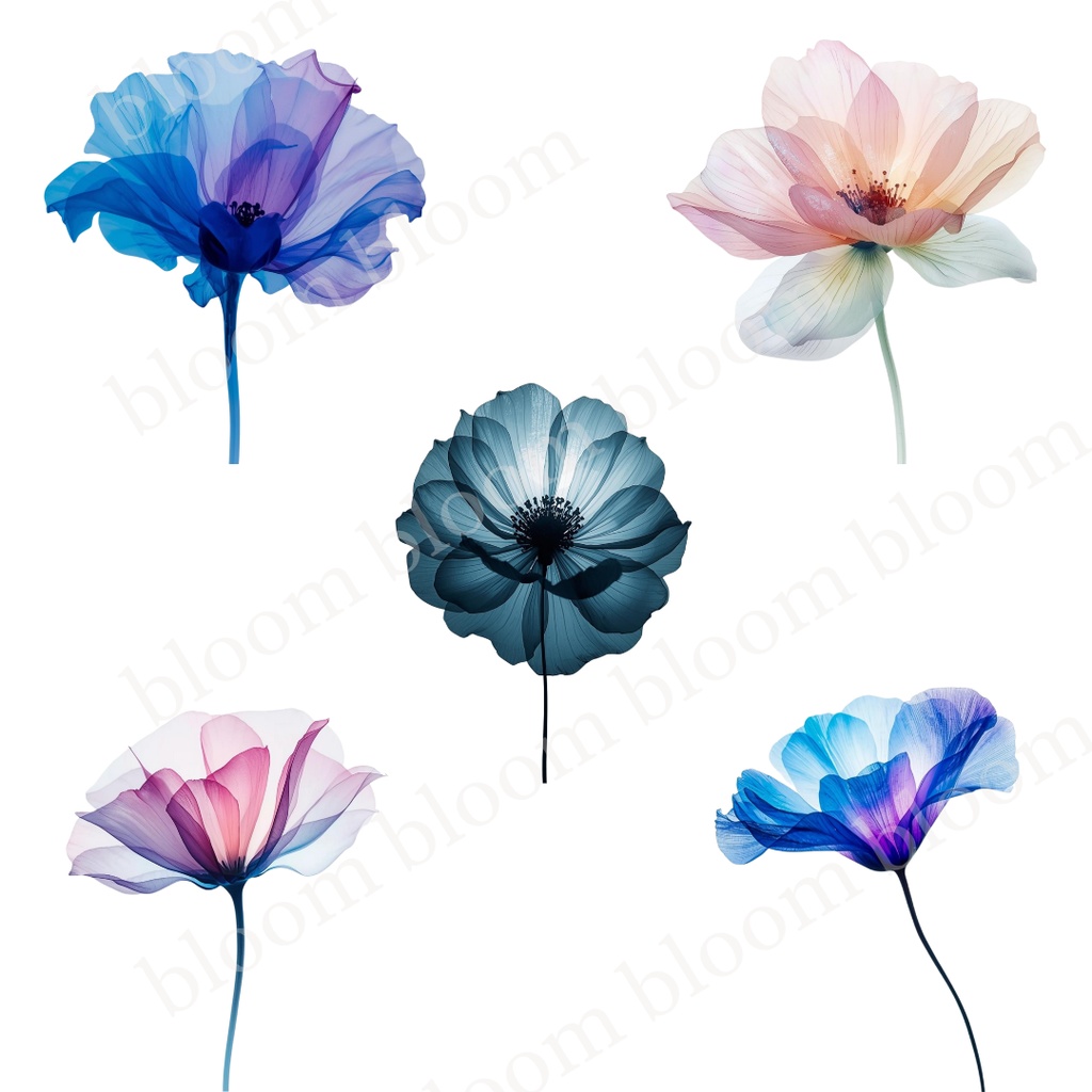 幻想的*アルコールインクアート風の花のクリップアート30点|背景透過PNG形式