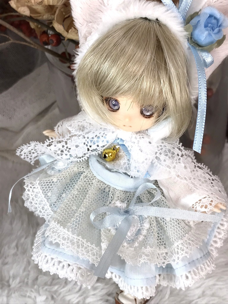 砂糖菓子の仔猫【受注生産】