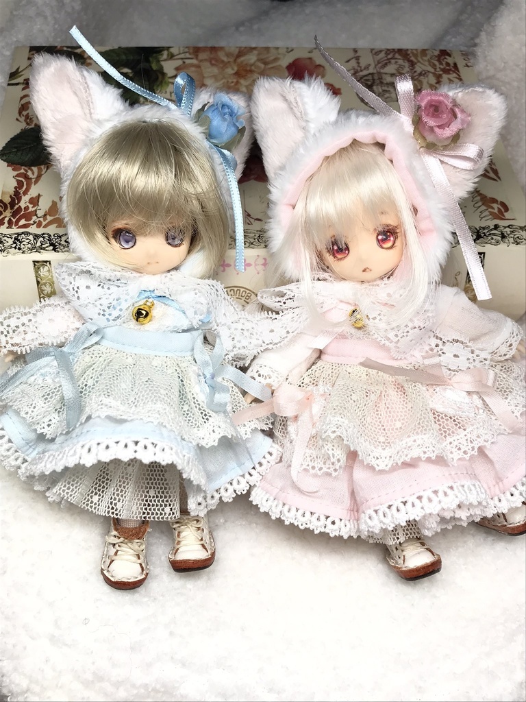 砂糖菓子の仔猫【受注生産】