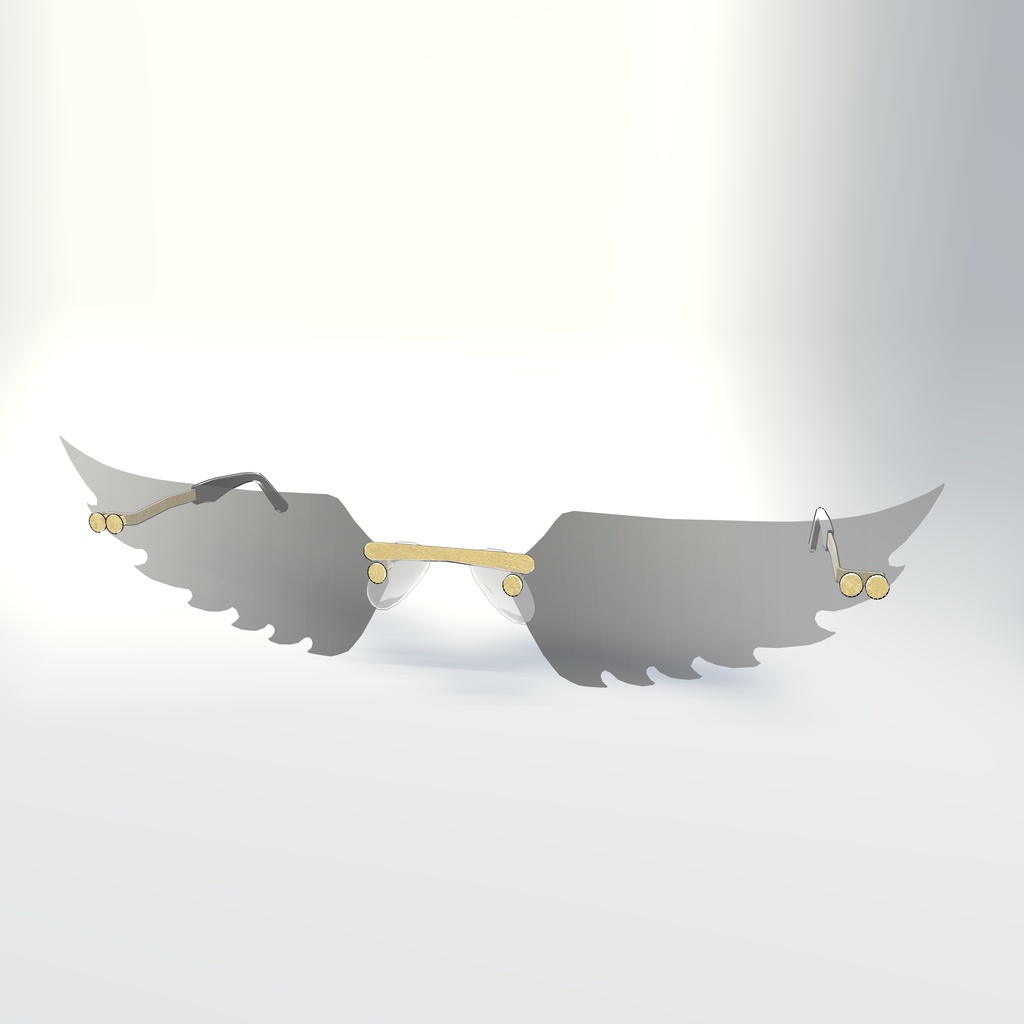 Winged Sunglasses!