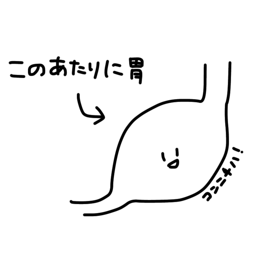 このあたりに胃Tシャツ