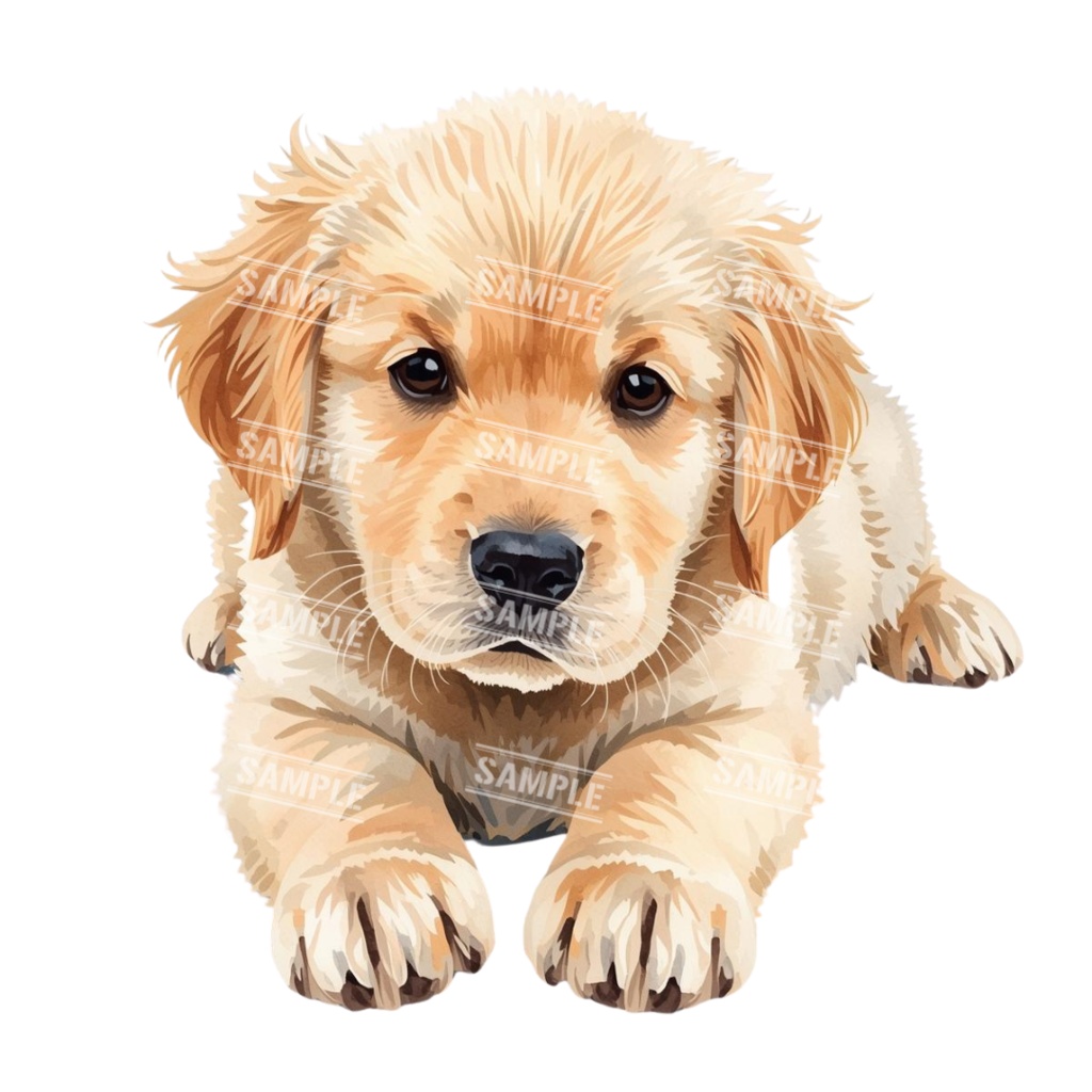 『Golden Retriver puppy(ゴールデンレトリバーの子犬)』 水彩画風 背景透過PNG素材 21点セット