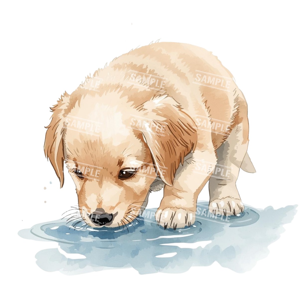 『Golden Retriver puppy(ゴールデンレトリバーの子犬)』 水彩画風 背景透過PNG素材 21点セット