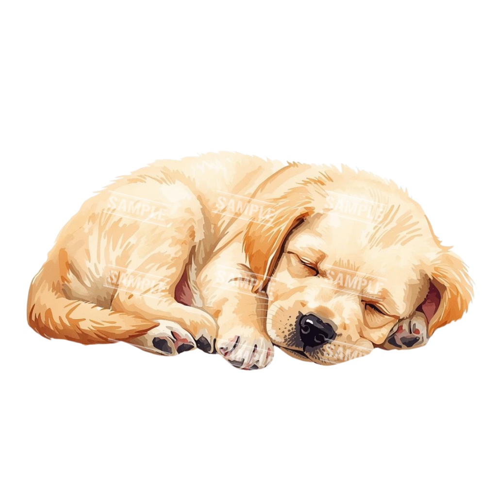 『Golden Retriver puppy(ゴールデンレトリバーの子犬)』 水彩画風 背景透過PNG素材 21点セット