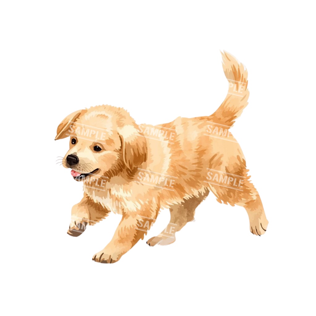 『Golden Retriver puppy(ゴールデンレトリバーの子犬)』 水彩画風 背景透過PNG素材 21点セット