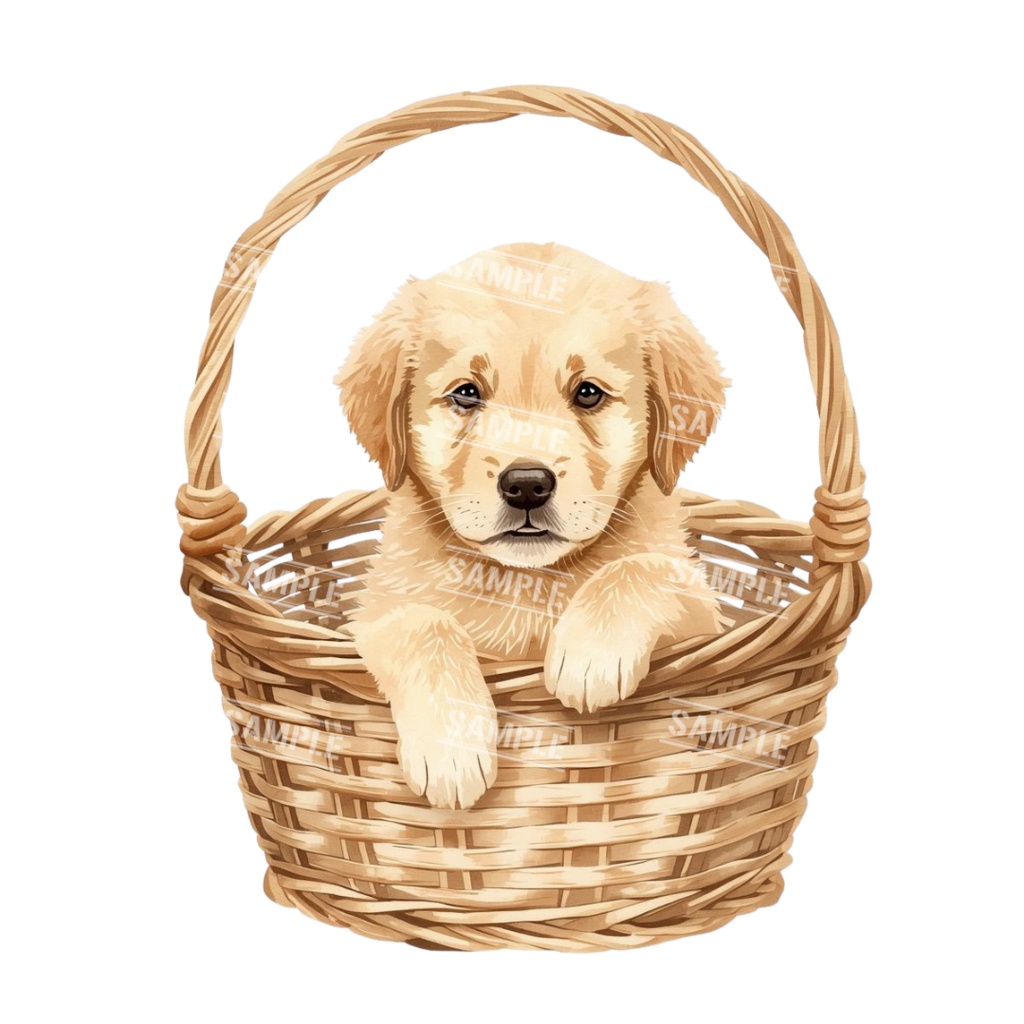 『Golden Retriver puppy(ゴールデンレトリバーの子犬)』 水彩画風 背景透過PNG素材 21点セット