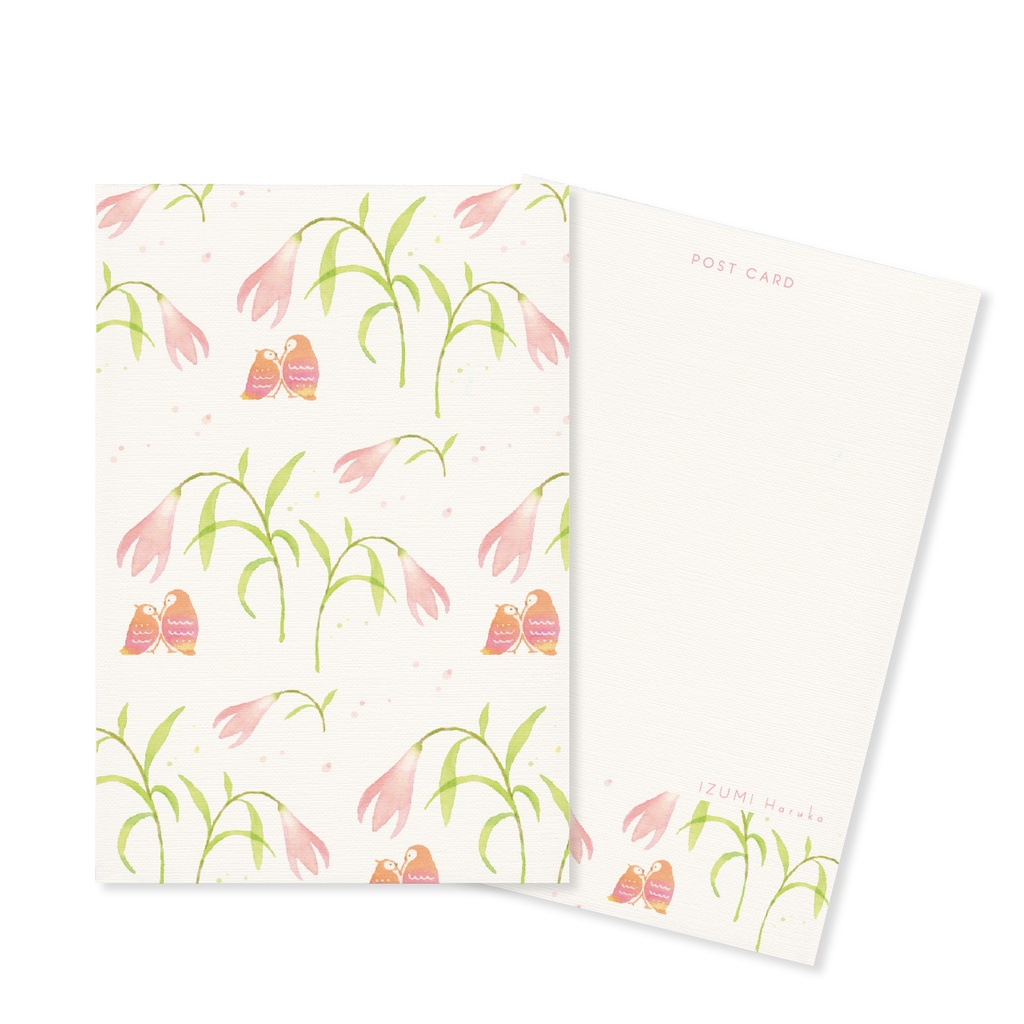 フクロウポストカード3枚セット