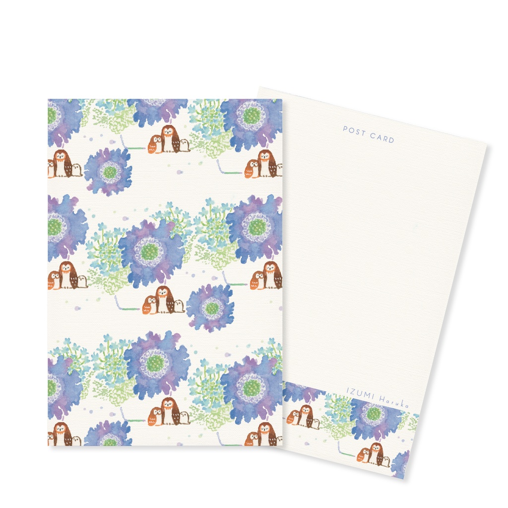 フクロウポストカード3枚セット