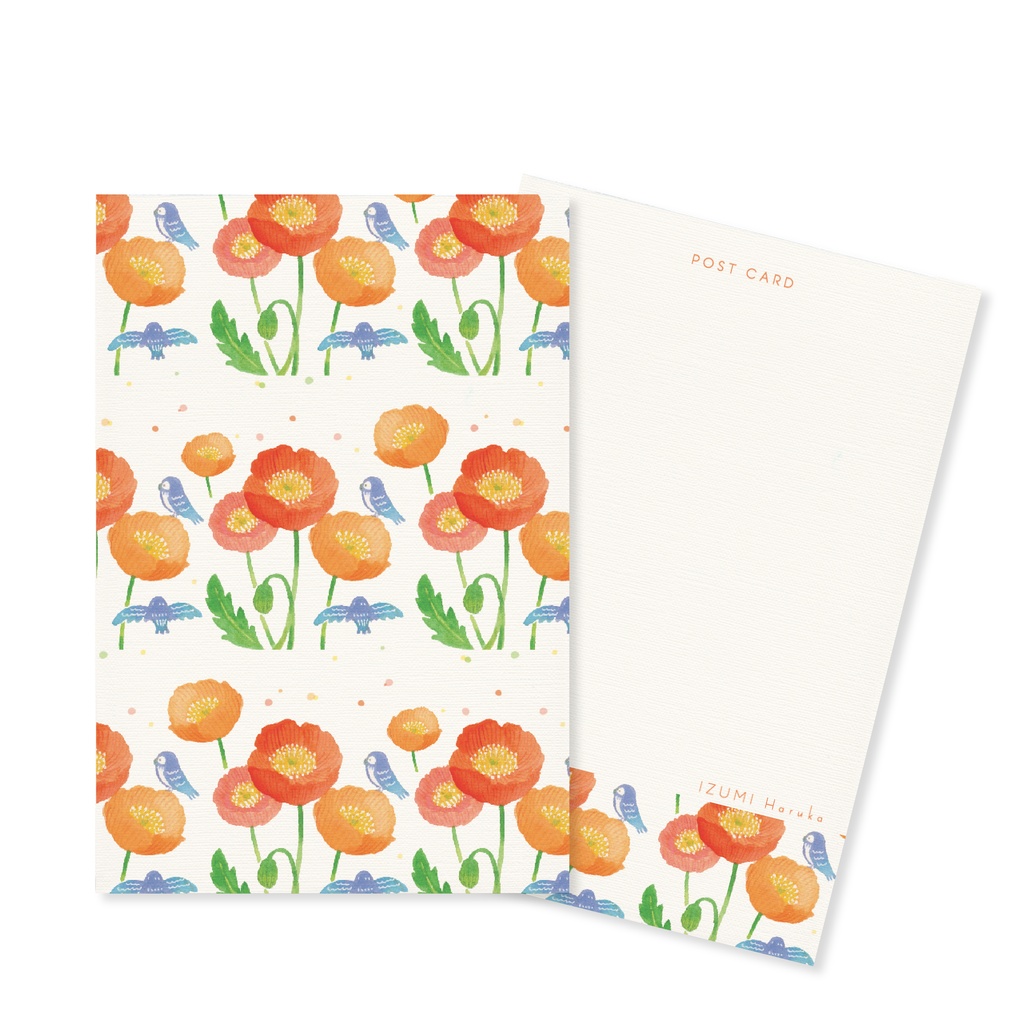 フクロウポストカード3枚セット