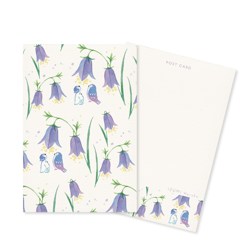 フクロウポストカード3枚セット