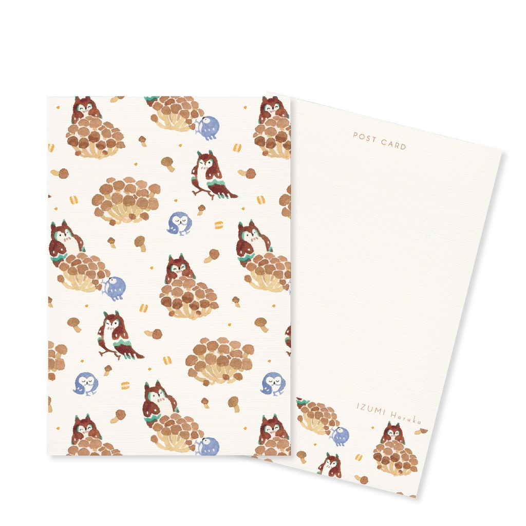 フクロウポストカード3枚セット