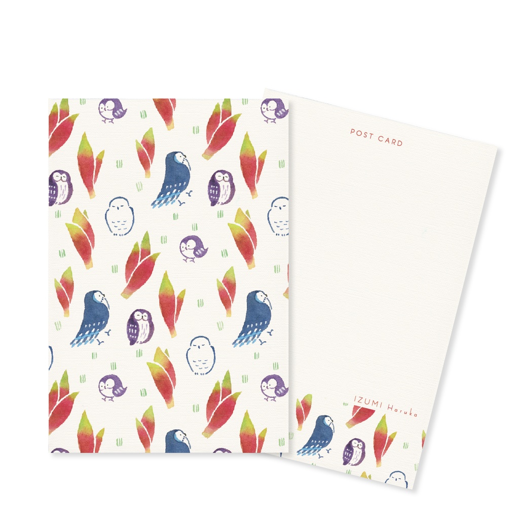フクロウポストカード3枚セット
