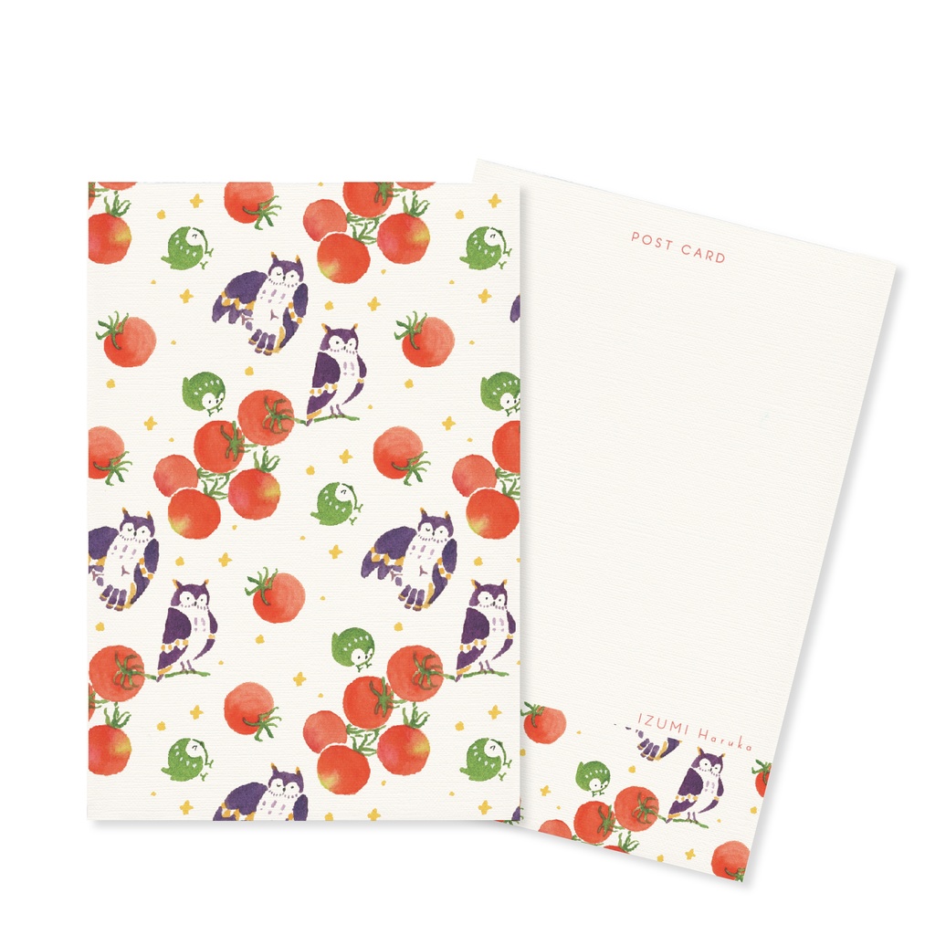 フクロウポストカード3枚セット