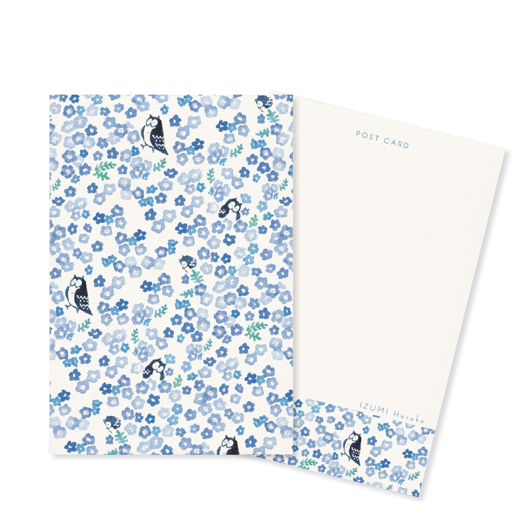 フクロウポストカード3枚セット