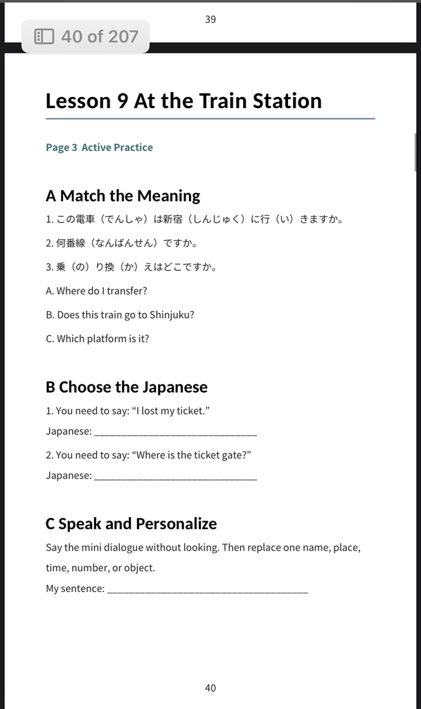 Japanese for Daily Life in Japan | 207-Page Digital Pocket Guide with Furigana