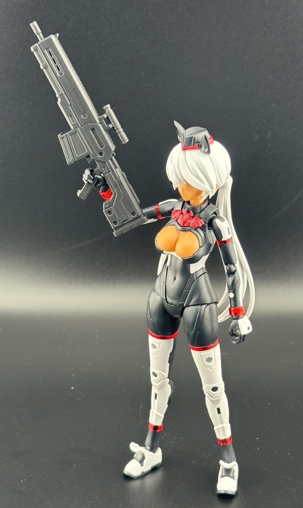 ライフル: アイテリス DMR