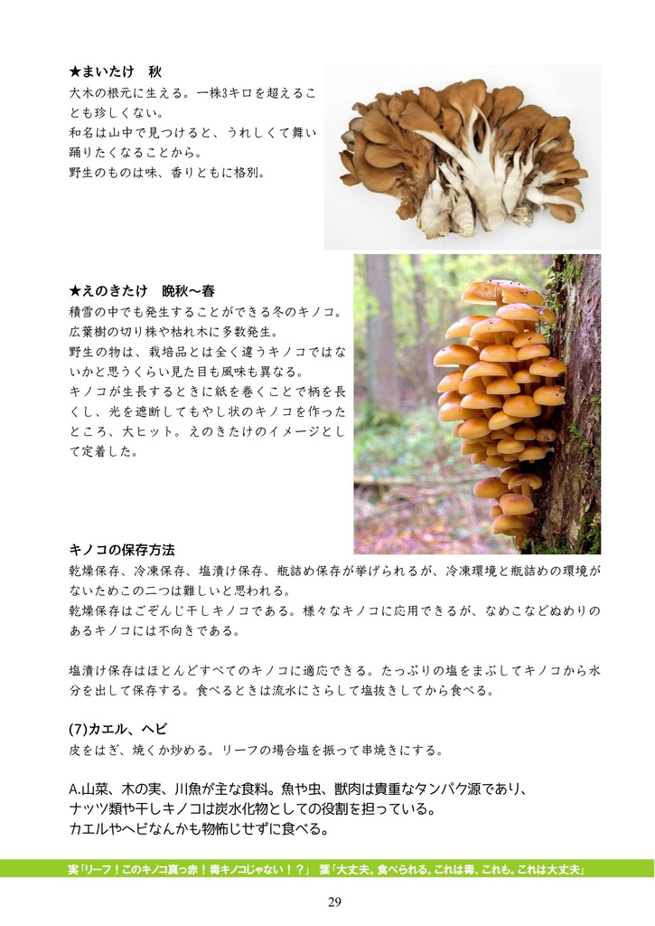 【設定集】 森に生きる