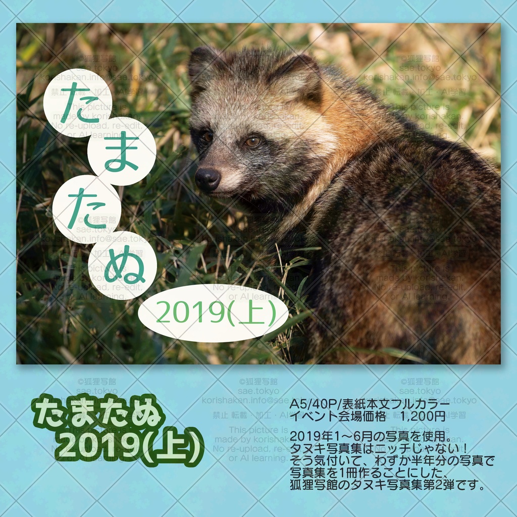 ホンドタヌキ写真集「たまたぬ2019(上)」